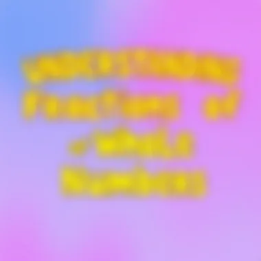 Magnificent Understanding Fractions of Whole Numbers Magnificent Understanding Fractions of Whole Numbers
