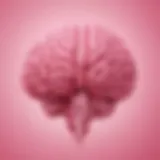 Abstract pink brain waves