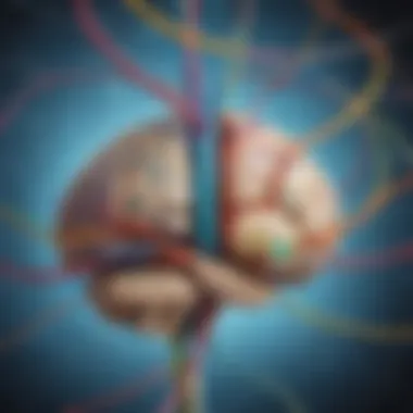 Neurological Pathways to Math Mastery Brain with interconnected neural pathways for mathematical learning