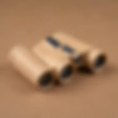 Imaginative Cardboard Tube Binoculars Project DIY Cardboard Tube Binoculars Craft