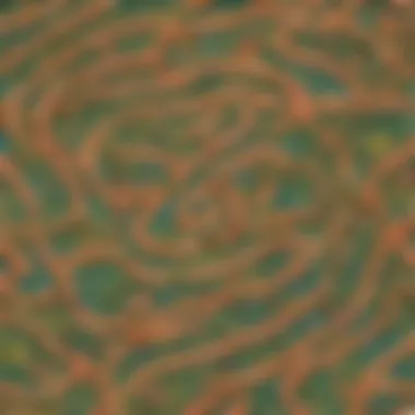 Intriguing Twisty Maze Maze with Twists and Turns