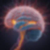 Illustration of a brain with glowing pathways