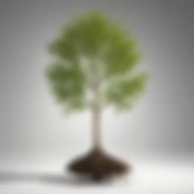 Conceptual illustration of a seedling growing into a flourishing tree