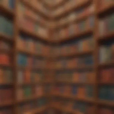 Virtual Bookshelf Illustration