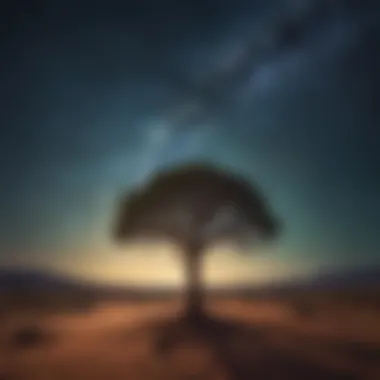 A lone tree in a vast desert landscape under a starry night sky