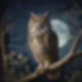 Enigmatic Owl in Moonlight