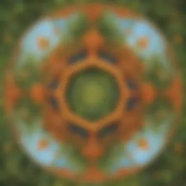 Exploring Symmetry in Nature Exploring Symmetry in Nature