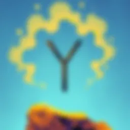 Exploring the Meaning Behind 'Y' Introduction