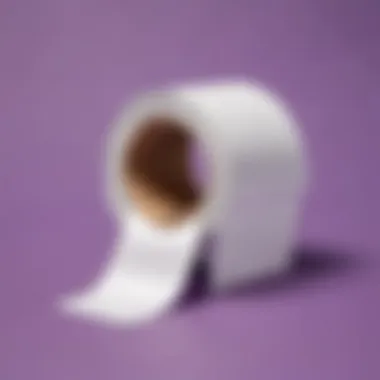 Fake Toilet Paper Roll Trick Creative April Fools Prank - Fake Toilet Paper Roll