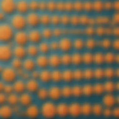 Examples of Fraction and Whole Number Calculations Examples of fraction and whole number calculations