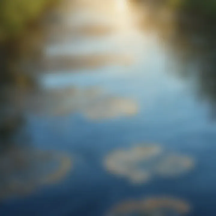 Ripples spreading across a calm lake surface reflecting the sky