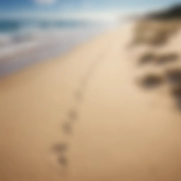 A pair of footprints on a sandy beach leading towards the sparkling ocean