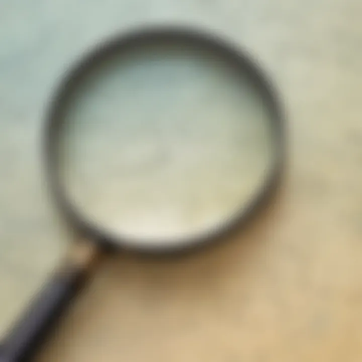 Magnifying glass focusing on polynomial equations