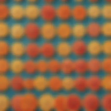 Fraction Arrangement Mastery Illustration depicting fractions arrangement