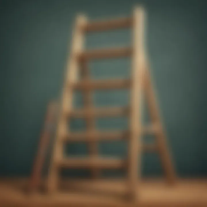 Illustration of a ladder showing progression in mastering long division