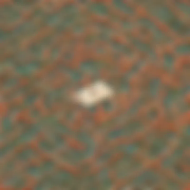 Illustration of a maze symbolizing the complexity of division problems