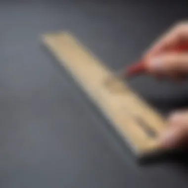 Detailed depiction of a millimeter ruler in action