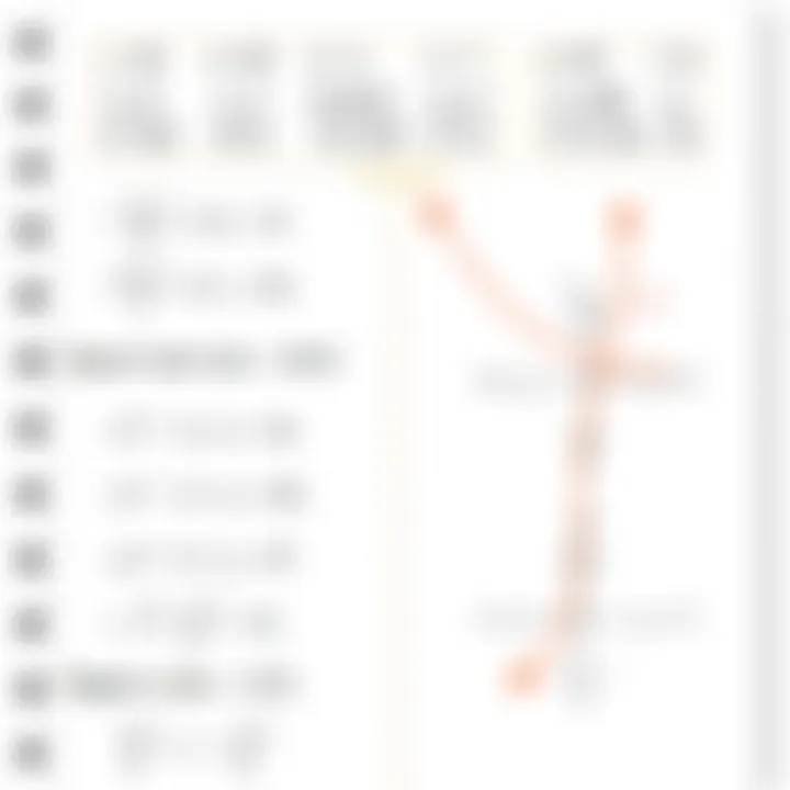 Understanding Linear Equations A visual representation of linear equations with graphs