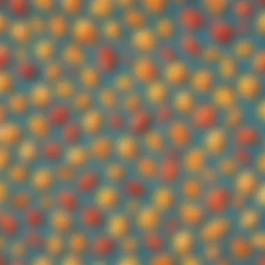 Regular vs Irregular Polygons Visual comparison of regular and irregular polygons