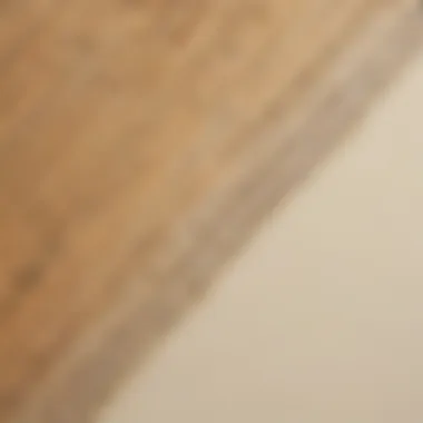 The Complexity of Ruler Markings Detailed ruler markings with various units of measurement