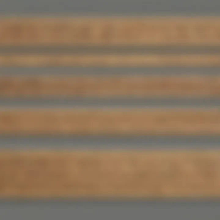 Evolution of ruler designs through history