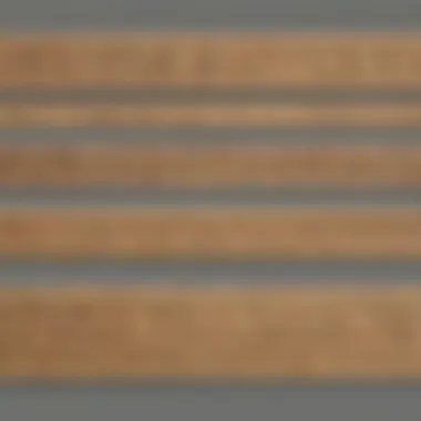 The Evolution of Ruler Designs Evolution of ruler designs through history