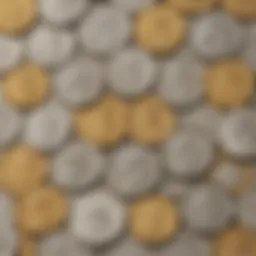 A collection of various U.S. dollar coins displayed against a neutral background