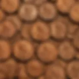 Close-up of vintage pennies showcasing historical designs