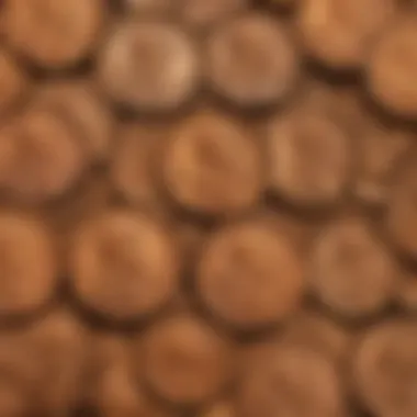Close-up of vintage pennies showcasing historical designs