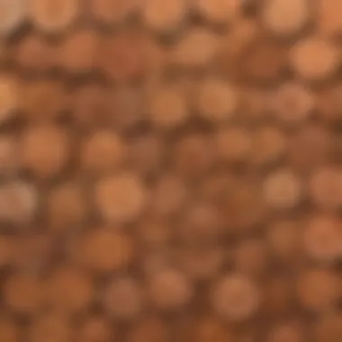 A colorful display of collectible pennies highlighting their appeal