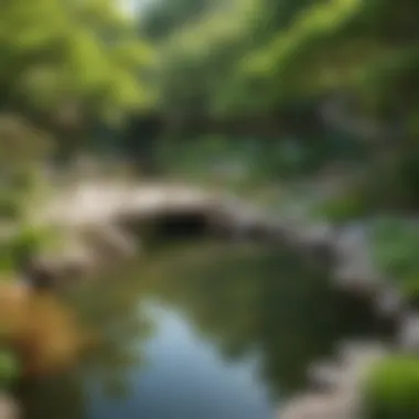 Illustration of a serene zen garden with a tranquil pond and lush greenery